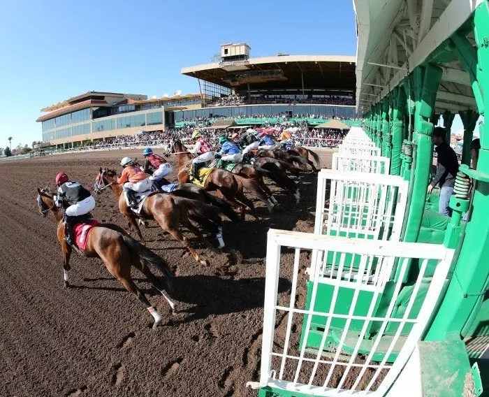 Six Places to Watch the 2022 Kentucky Derby in Metro Phoenix