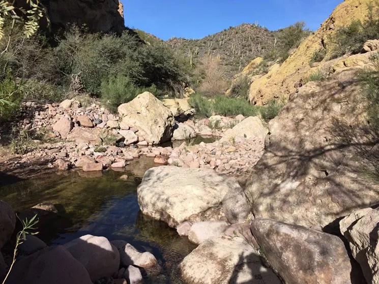 10 best hikes in metro Phoenix