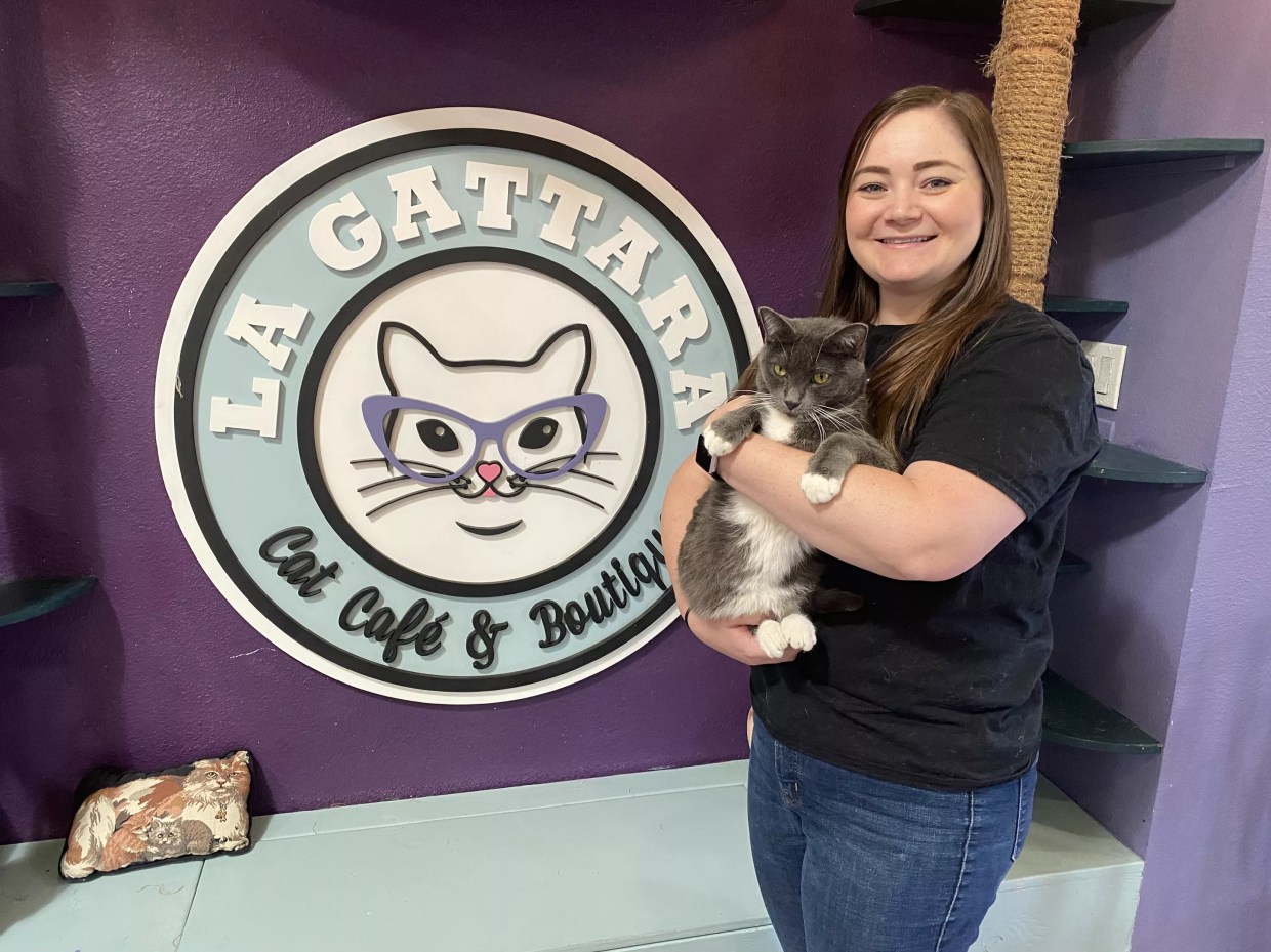 No ‘Paws’ in Service After La Gattara Cat Cafe’s Founder Passes the Torch