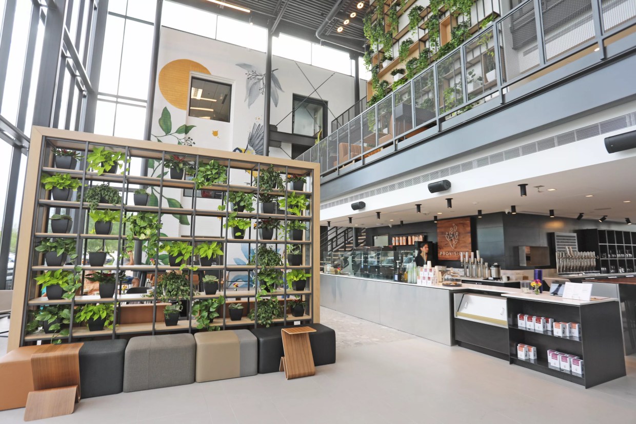 Provision shakes things up at uptown and Arcadia coffee shops