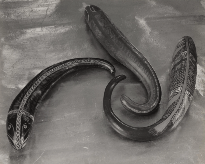 Arty Girl: Edward Weston at Phoenix Art Museum