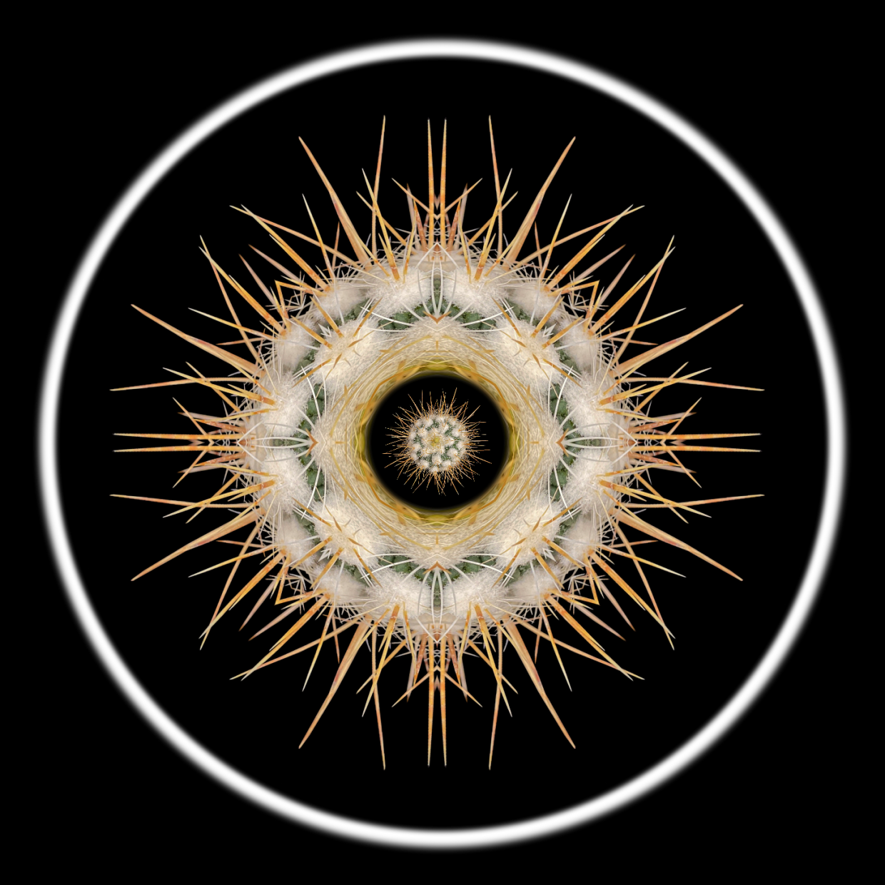 Your guide to April’s First Friday artwalk in downtown Phoenix