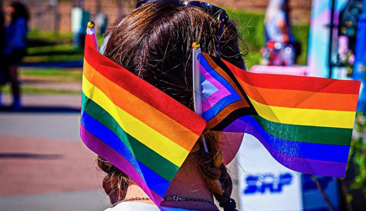 A woman wears a pride flag and a progress pride flag in her hair.