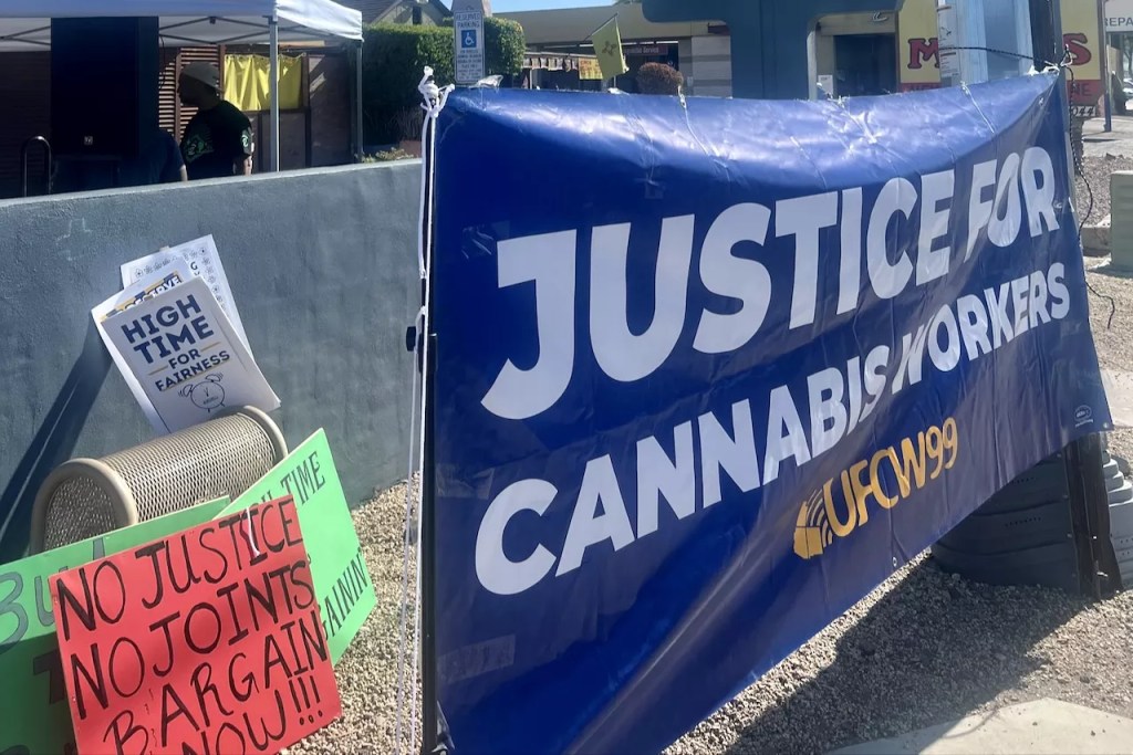 Protest sign outside Curaleaf Camelback