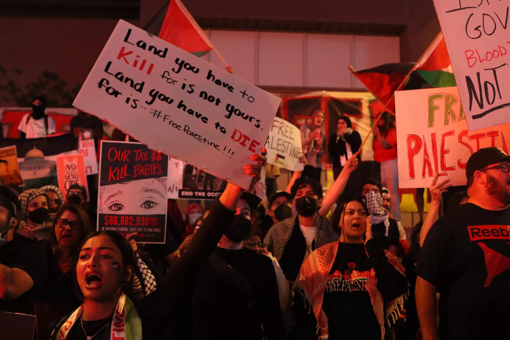 pro-palestine protesters