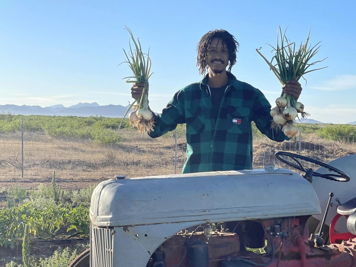 Summer survival: How Arizona’s farmers provide fresh food year-round