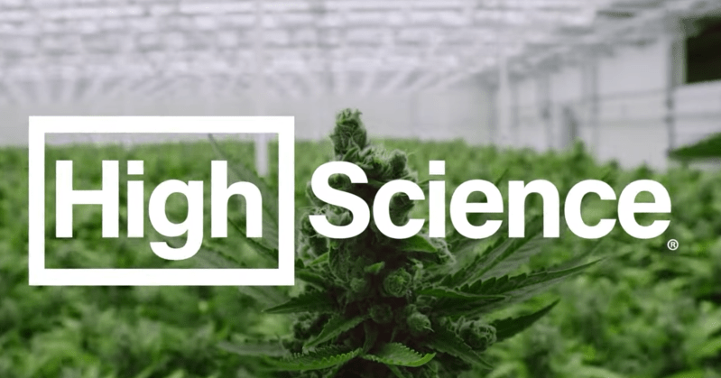 the high science logo against a backdrop of a weed plant