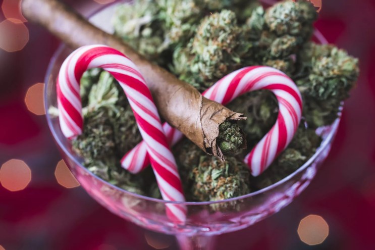 a bowl of marijuana flower with candy canes mixed in
