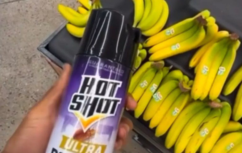 a hand holds bug spray over a rack of bananas at a store