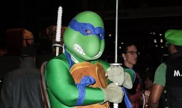 a person in a ninja turtles costume