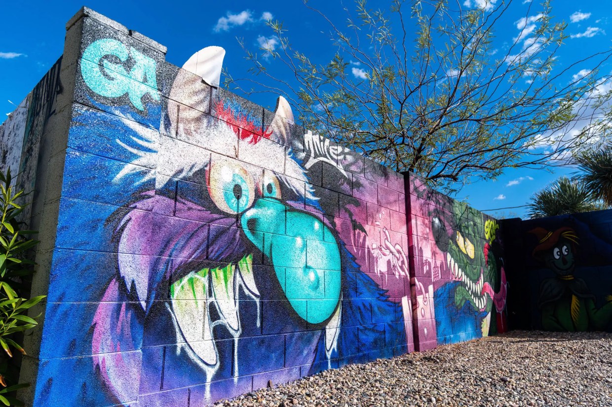 25 photos from Phoenix’s annual Oak Street Alley Mural Festival