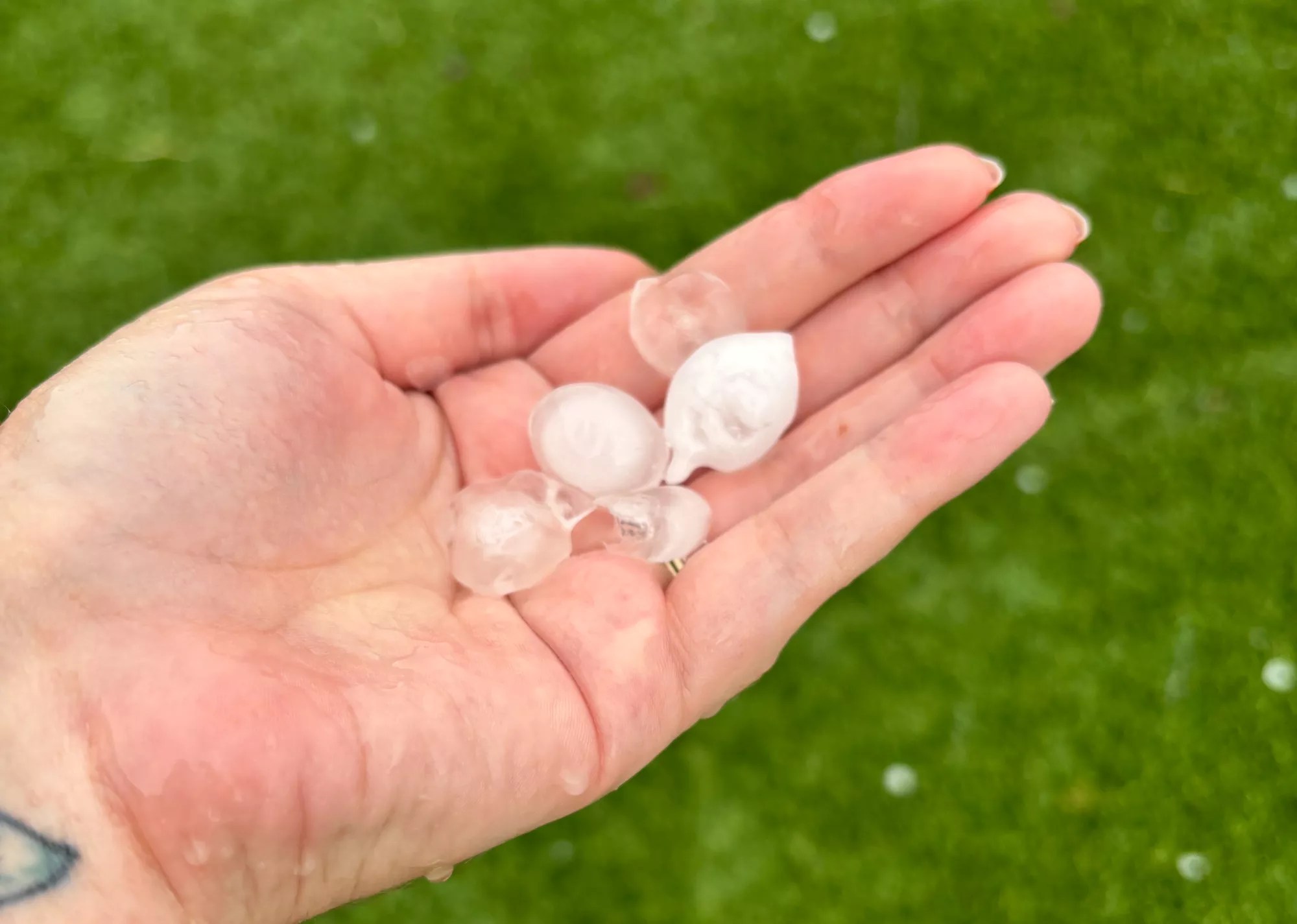 a hand holding hail stones